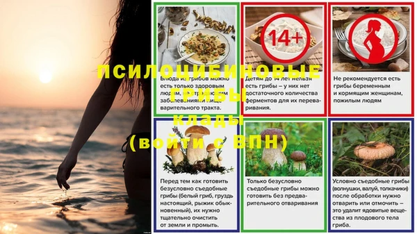 гидра Инта