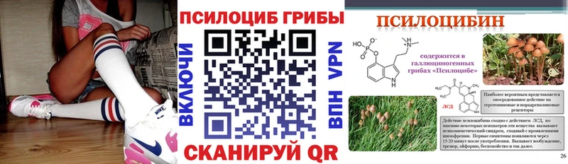 мега ТОР Медвежьегорск Псилоцибиновые грибы Magic Shrooms